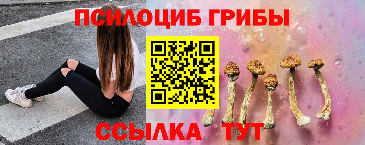 Новоалександровск  Галлюциногенные грибы Psilocybine cubensis  Вход с VPN 