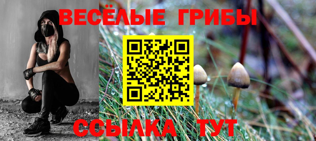 Галлюциногенные грибы прущие грибы Новоалександровск